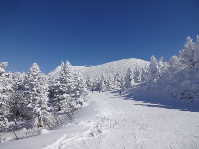 空気が澄んだスキー場