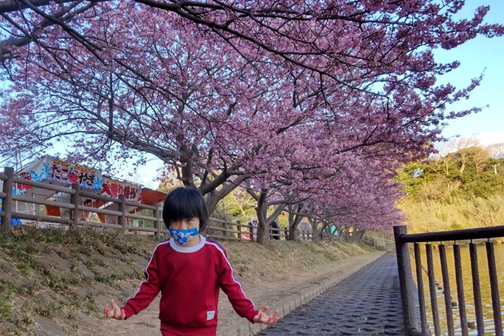 小松ヶ池公園の桜と子供