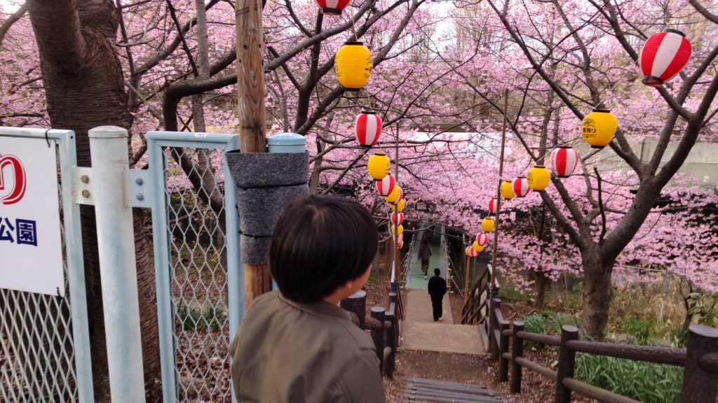 桜祭り会場