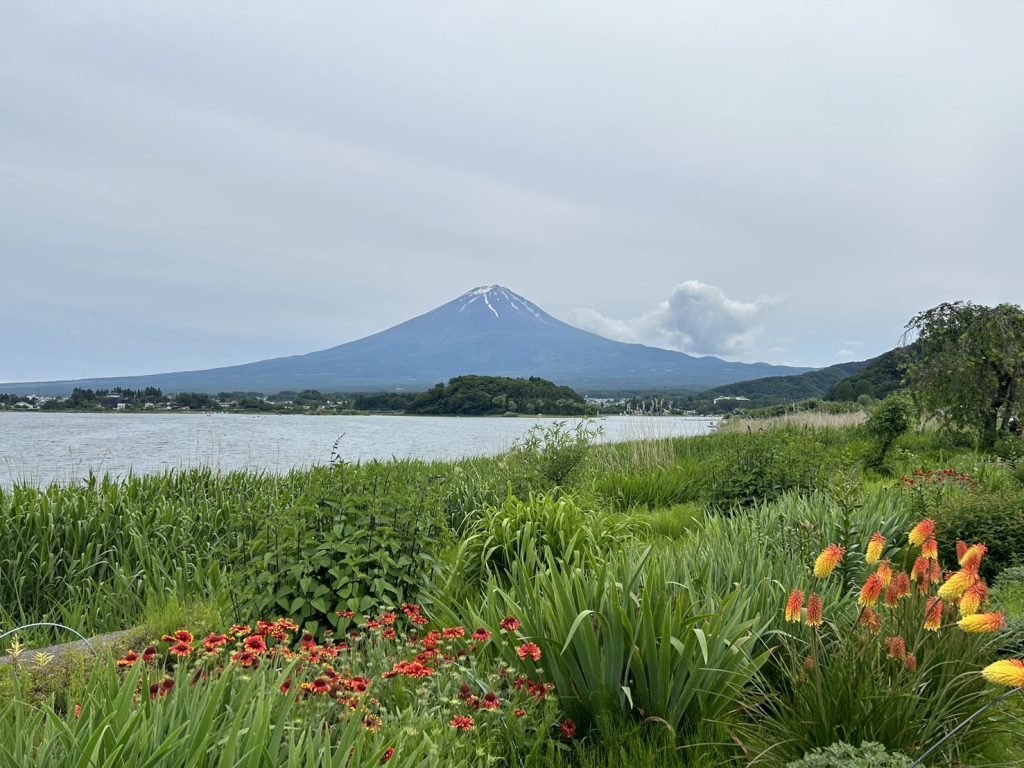 富士山