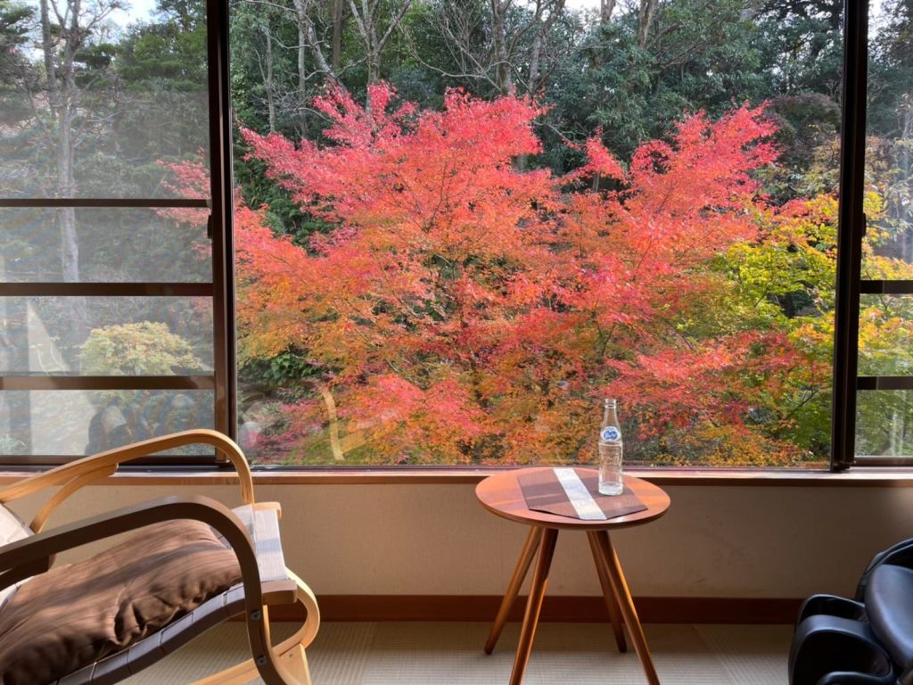 旅館から見る紅葉