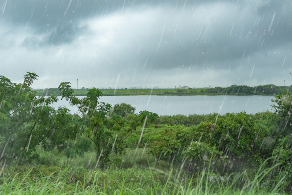 雨